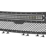Ford Mesh Grille w/30in Dual Row Black Series LED (09-14 F-150)