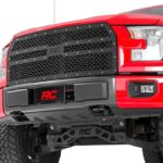 Ford Mesh Grille (15-17 F-150)